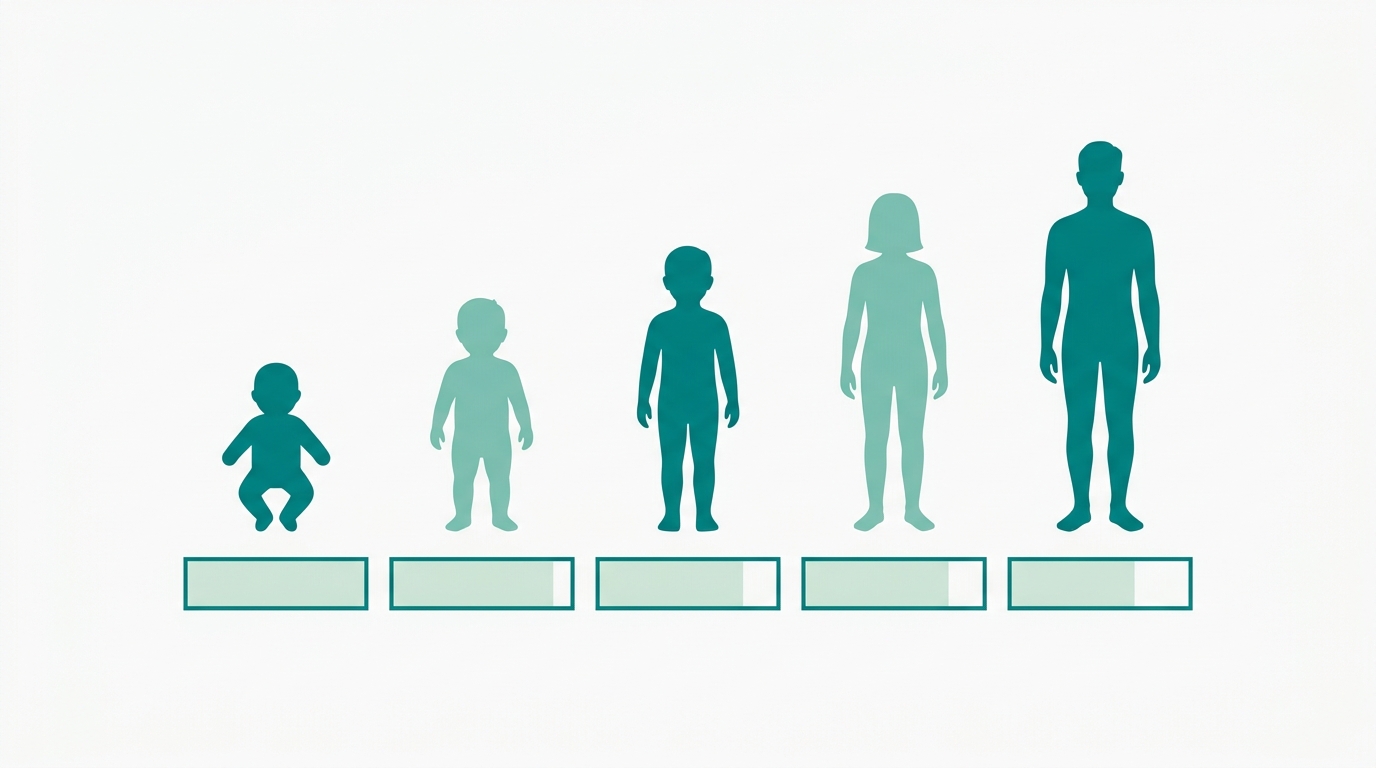 Diagrama editorial flat em estilo Colchões LowCost. Composição horizontal 16:9. Cinco silhuetas humanas planas, de tamanhos crescentes (bebé, criança pequena, criança, pré-adolescente, adolescente), preenchidas em #008282 e #78C2B2 alternadamente, alinhadas da esquerda para a direita. Sob cada silhueta, uma barra horizontal de comprimento proporcional às horas de sono recomendadas, preenchida em #CCE3D4 com contorno #008282. A barra mais longa está sob o bebé, a mais curta sob o adolescente. Fundo #F9F9F9 com muito espaço em branco. Sem texto, sem números visíveis, sem decoração.